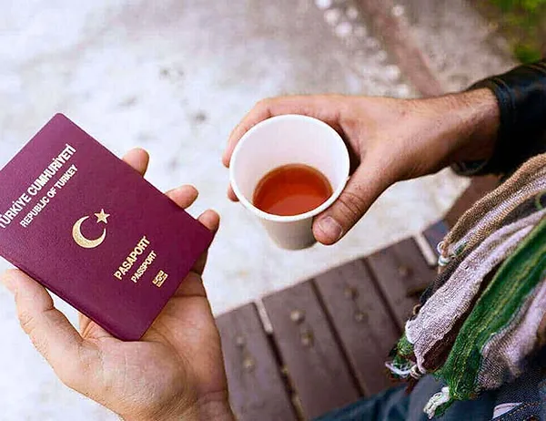 Turkiye Citizenship Options.