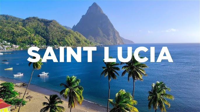 Top Investment Immigration Consultants for St Lucia